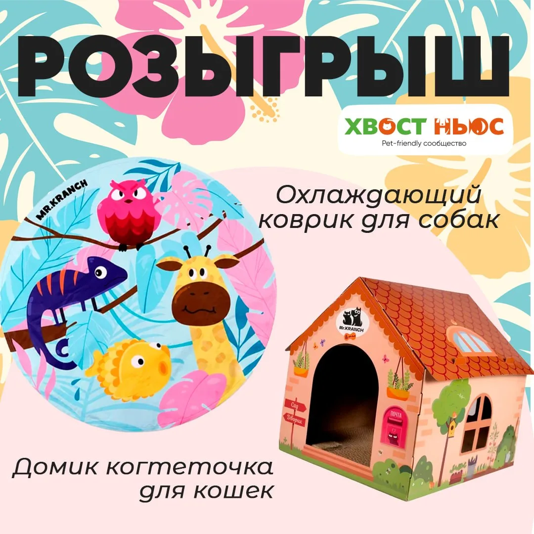 Розыгрыш для владельцев собак и кошек 🎉