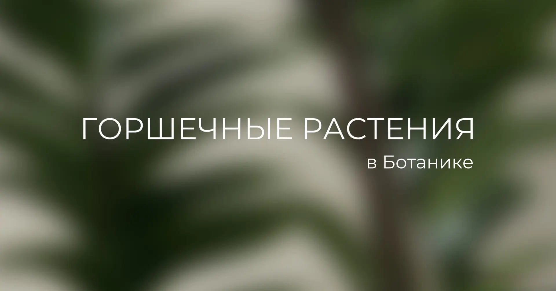 ГОРШЕЧНЫЕ