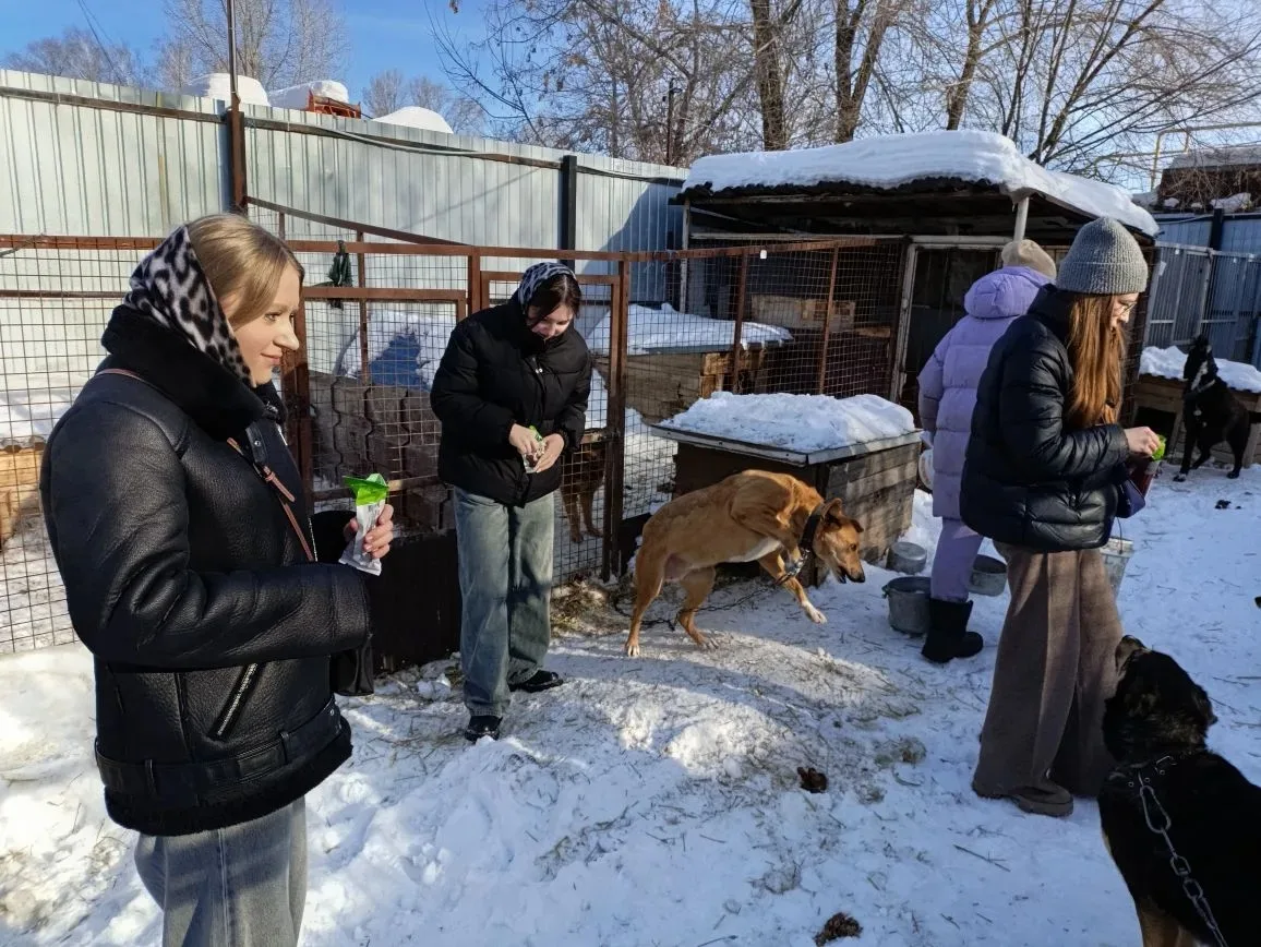 Посещение приюта для собак "Ковчег"  Ребята 11э класса недавно посетили приют для собак "Ковчег", ос