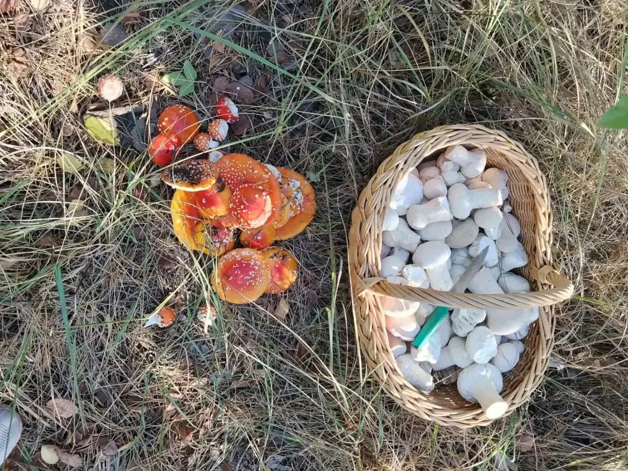 👉🏼 Подпишись