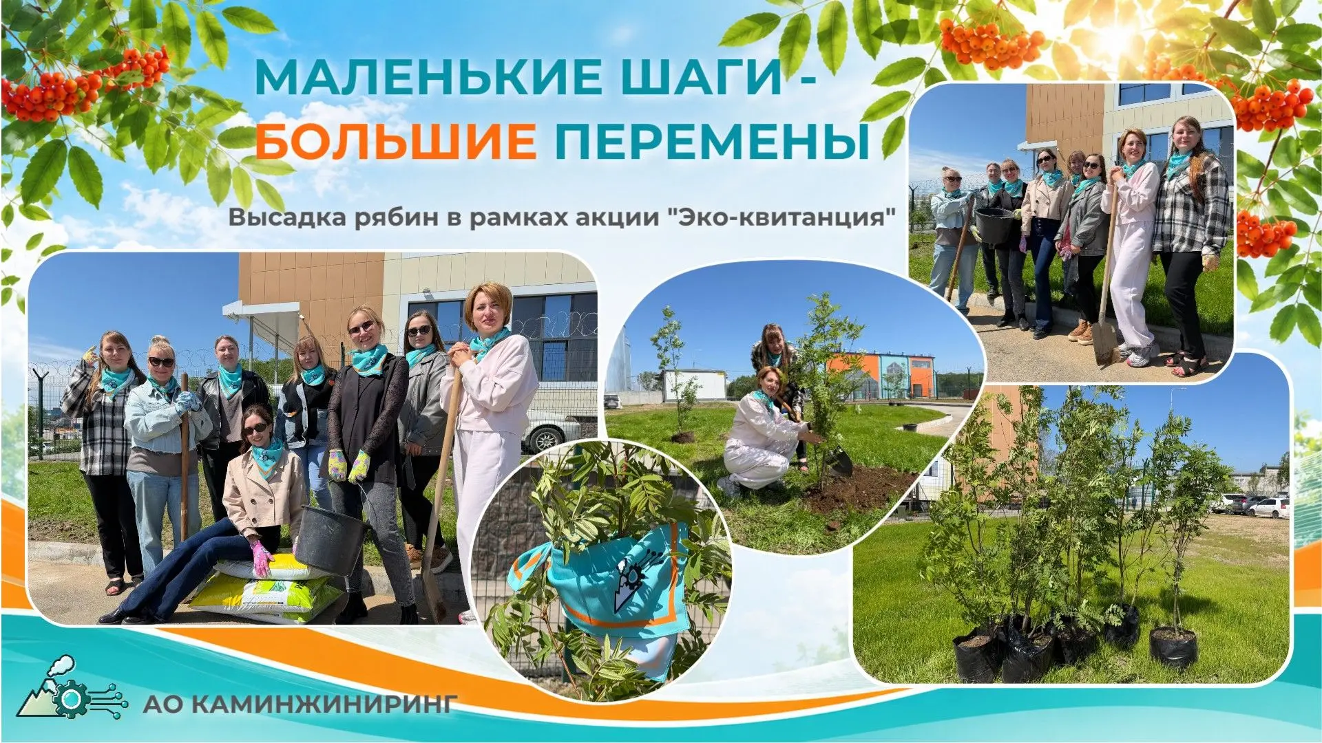 🌱 ЭКО-квитанция: от цифрового выбора к живым деревьям