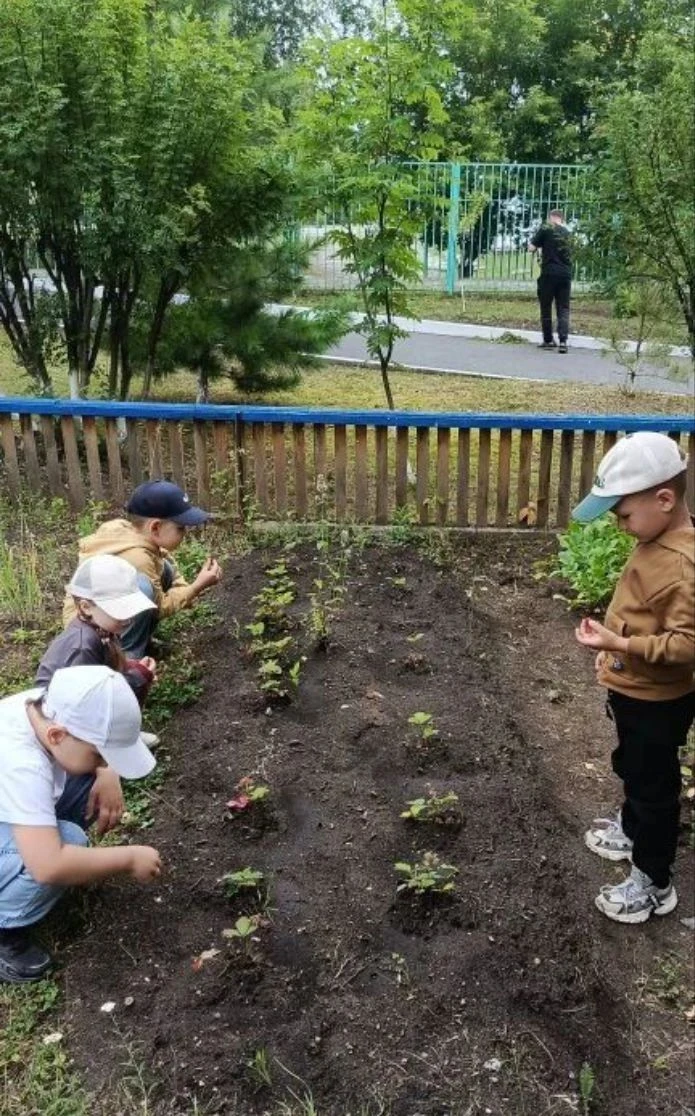 🐝Лето - чудесное время года! Что только оно нам не дарит: яркое солнце, красивые цветы, овощи и фру