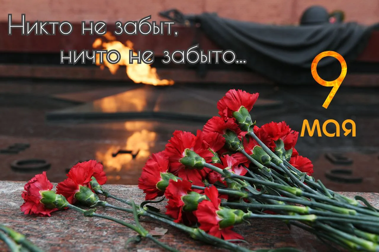 Дорогие друзья!