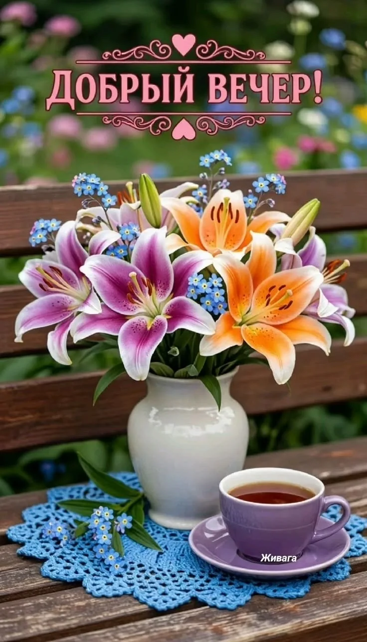 ОТКРЫТКИ