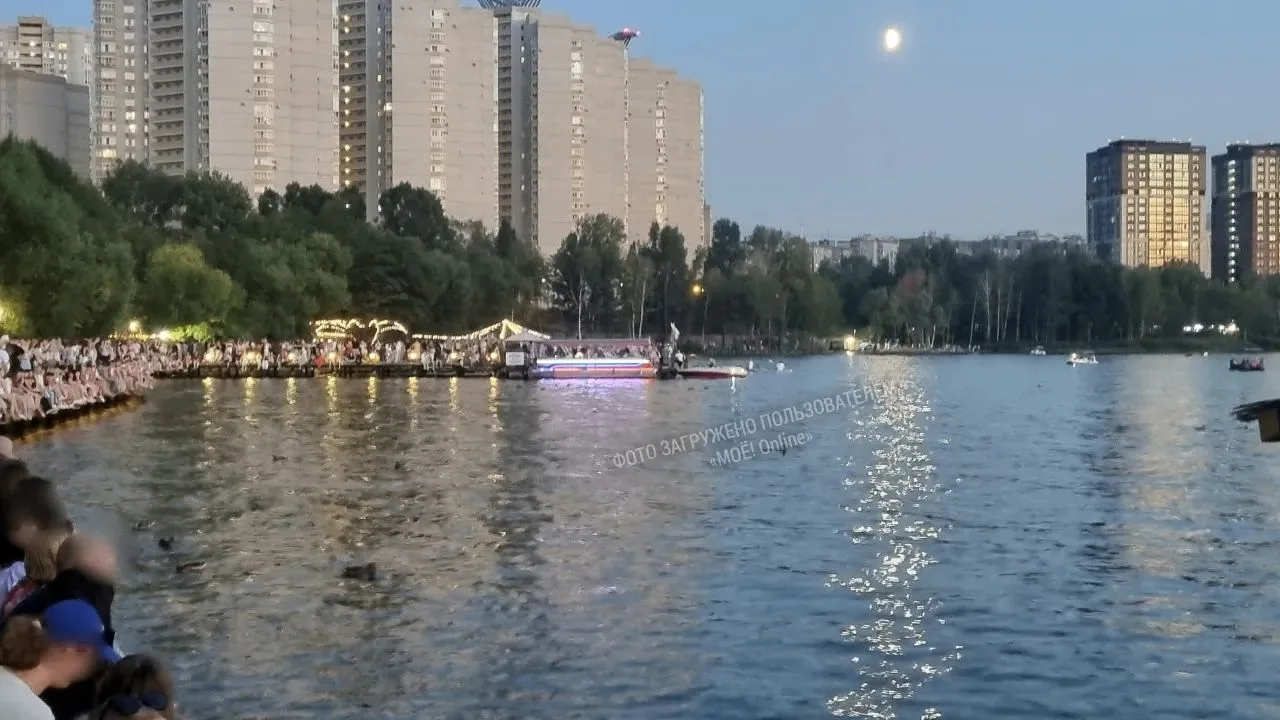 «Мы не справились». Воронежский «Дельфин» ответил на критику вечера фонарей
