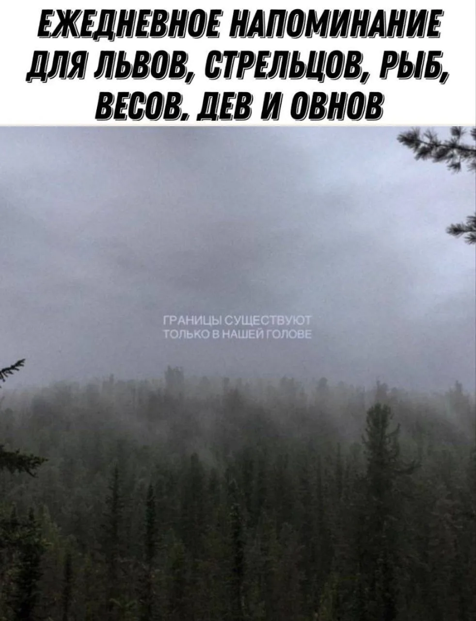 Ежедневное напоминание: