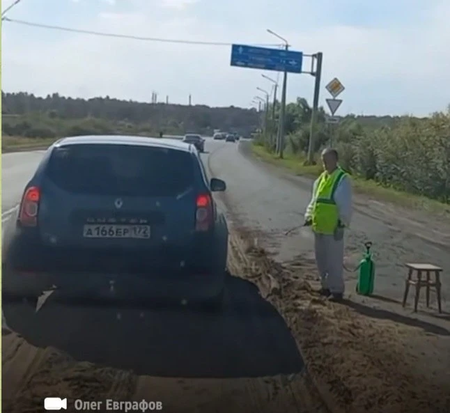 В Тюменской области из-за неизвестного заболевания изымают и сжигают свиней