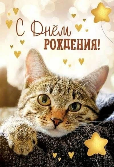 🥰 Оставляйте реакции, если понравилась открытка и делитесь с близкими ❤️