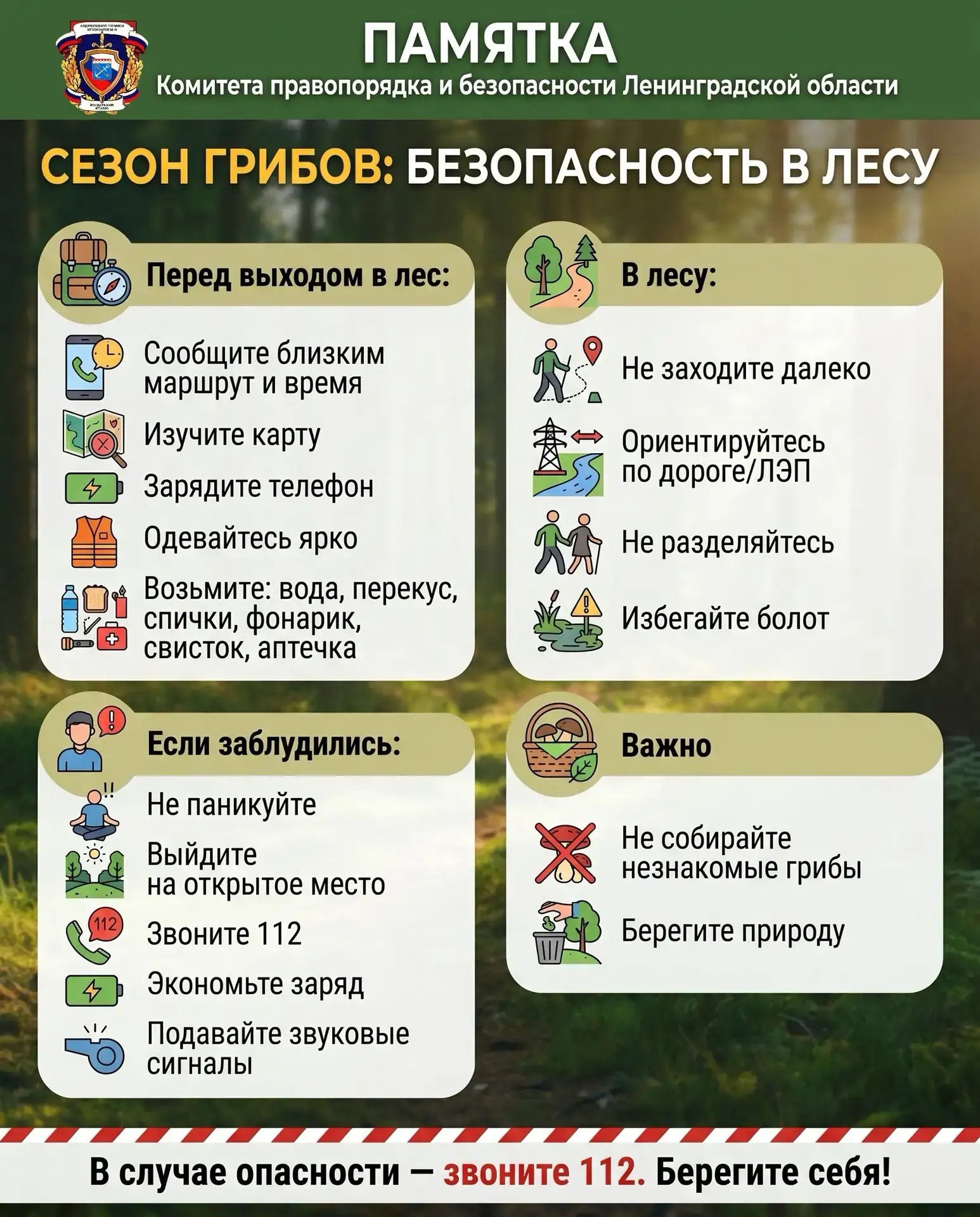СЕЗОН ГРИБОВ: КАК СОХРАНИТЬ СЕБЯ В БЕЗОПАСНОСТИ В ЛЕСУ