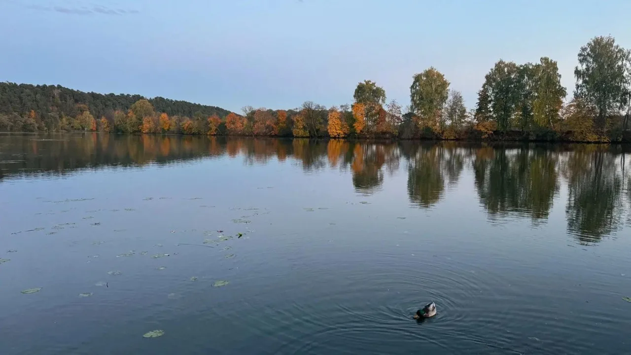 Осень в Архангельском 🍁