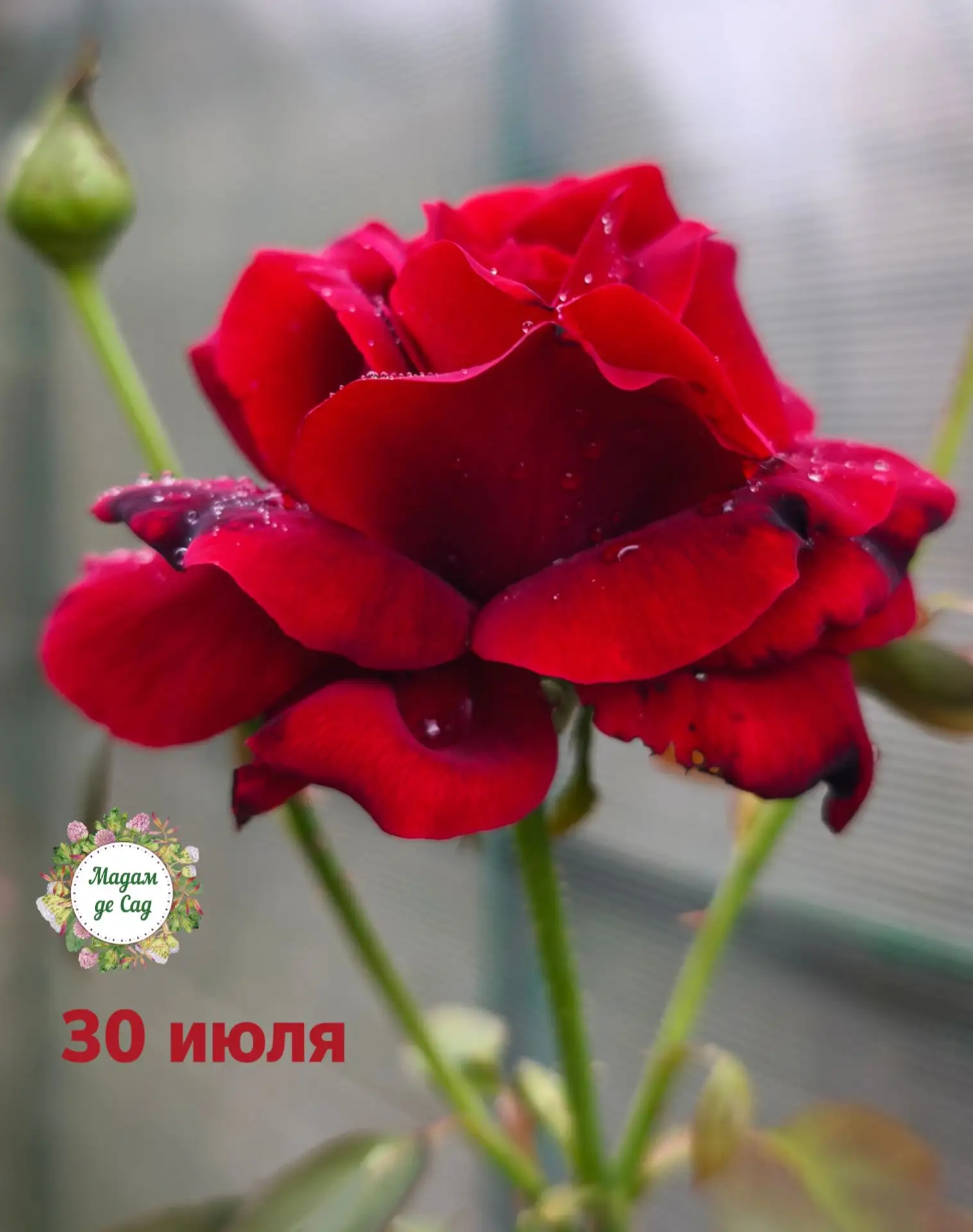 ❤️ Доброе утро!