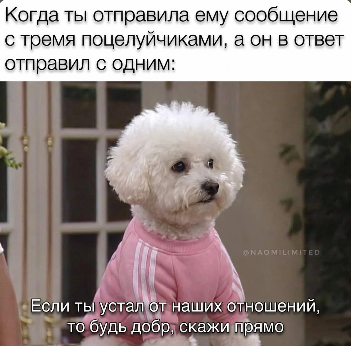 Мем дня