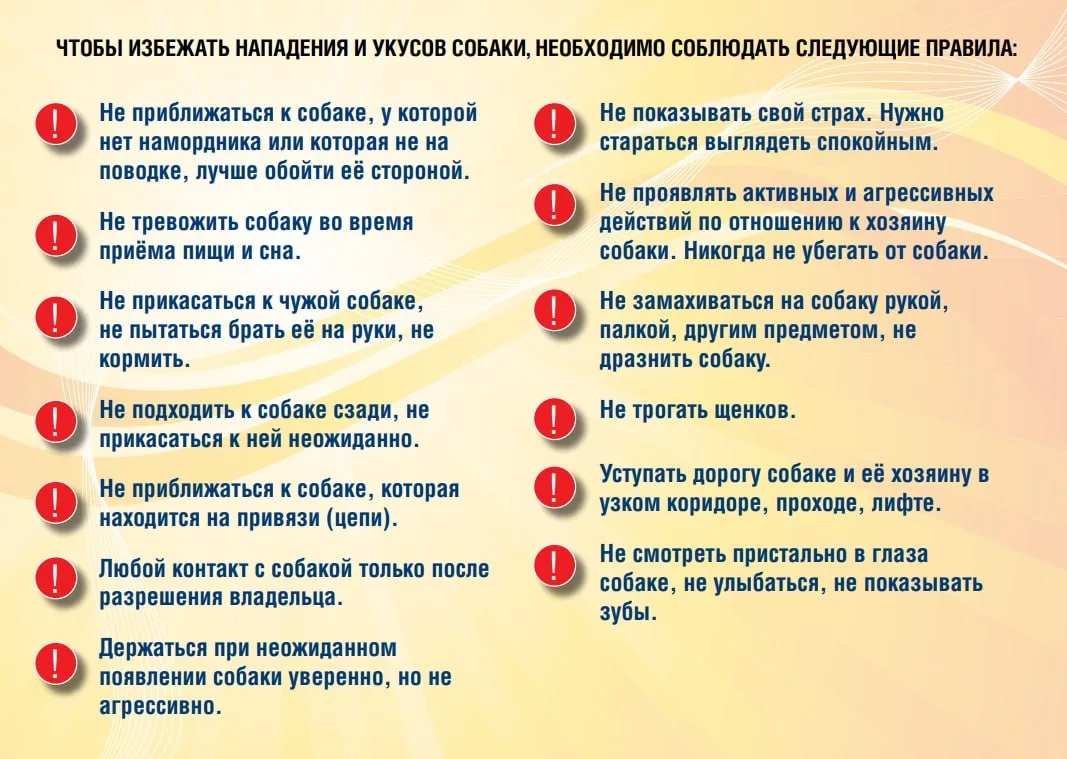 📣📣📣Внимание! Внимание!  ❗️ Важное напоминание для учащихся и родителей: правила поведения при встреч