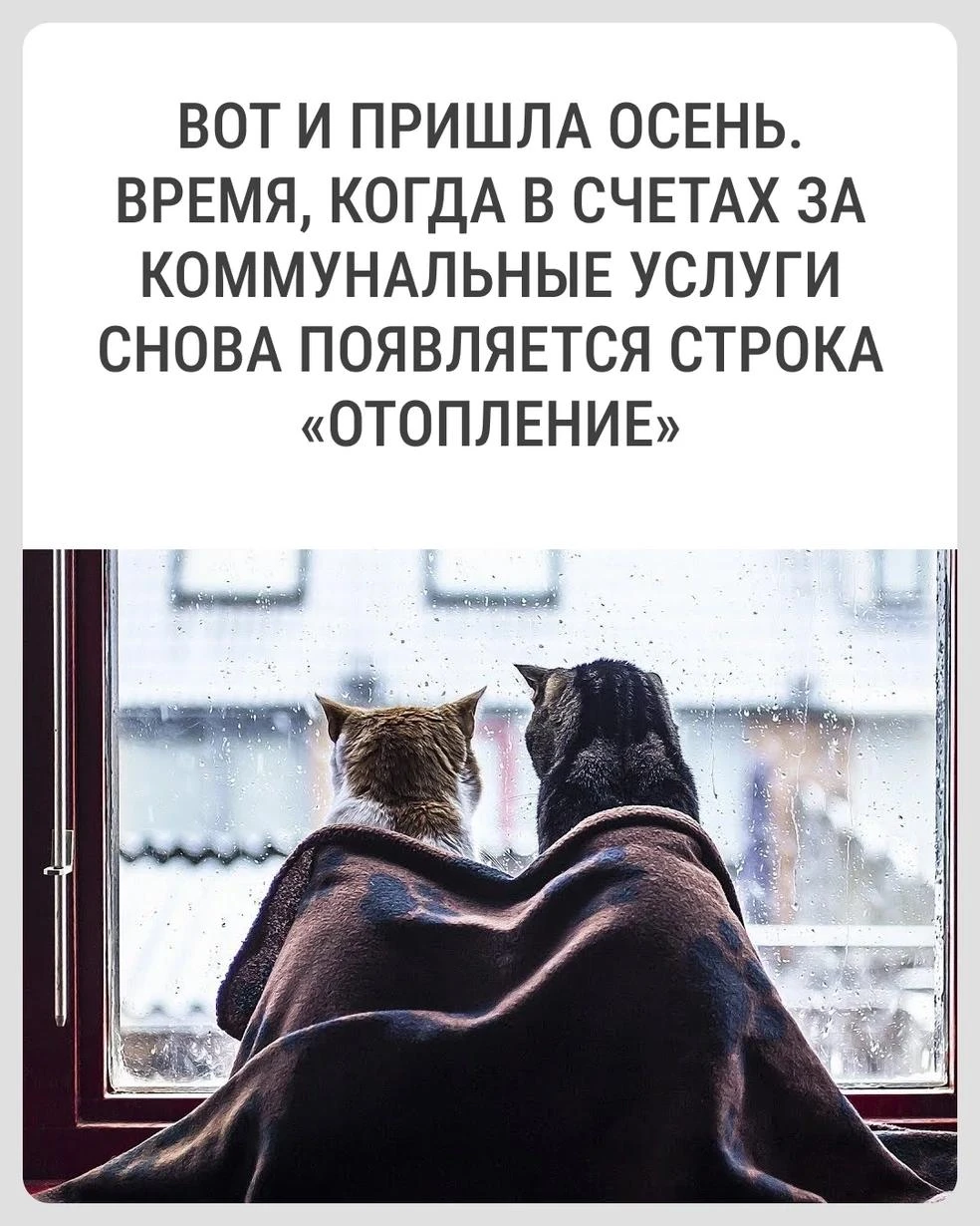 💸 Как снизить расходы на коммуналку