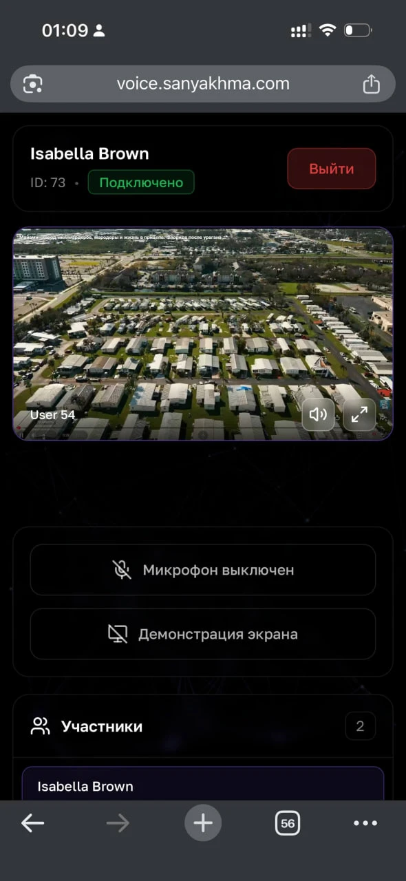 Сделал себе голосовой чат с демонстрацией экрана, камерой, простой и легкий