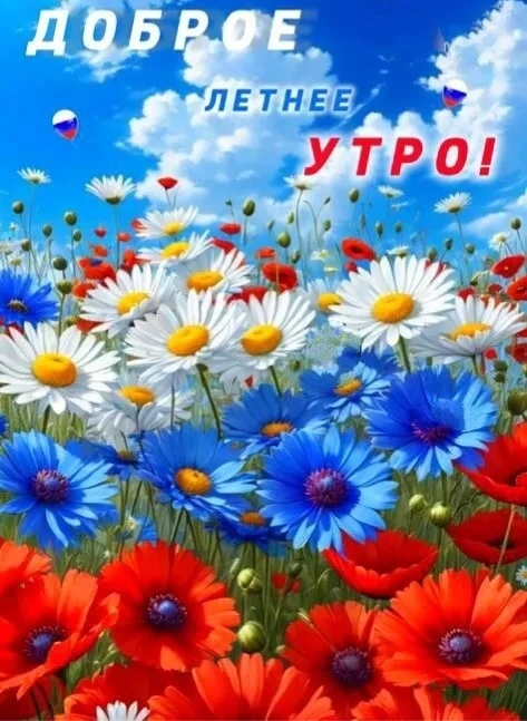 С ДОБРЫМ УТРОМ ВСЕХ!