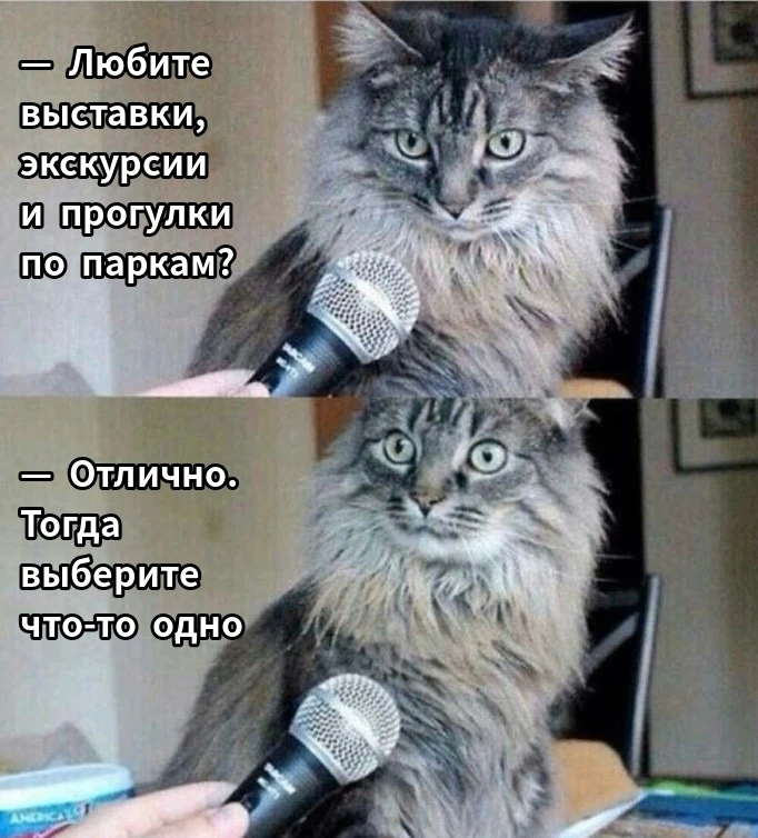 Куда нам сходить для следующего живого репортажа? Выбор за вами!