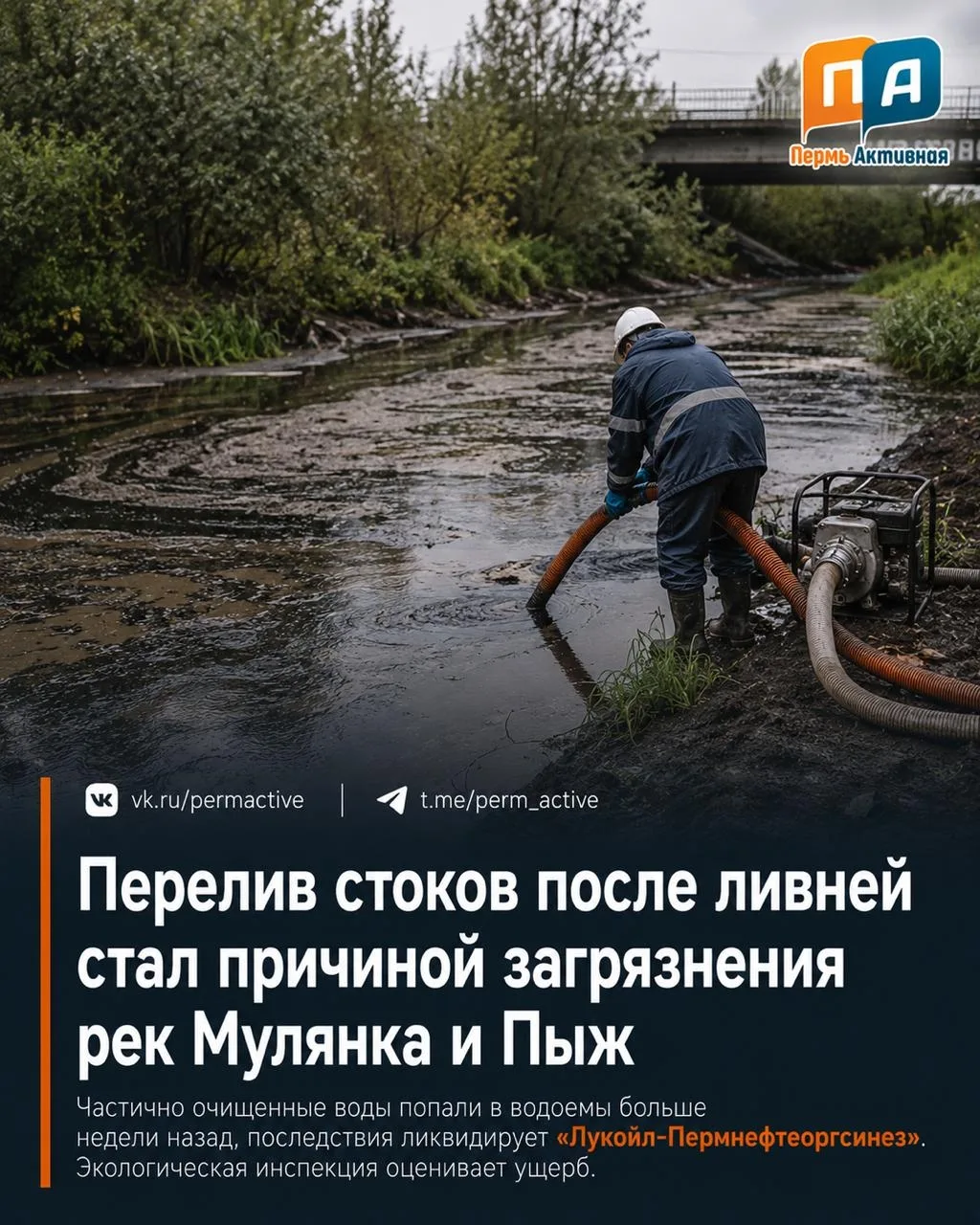 🌊 Причиной загрязнения рек Мулянка и Пыж, по предварительным данным специалистов, стал перелив сточ