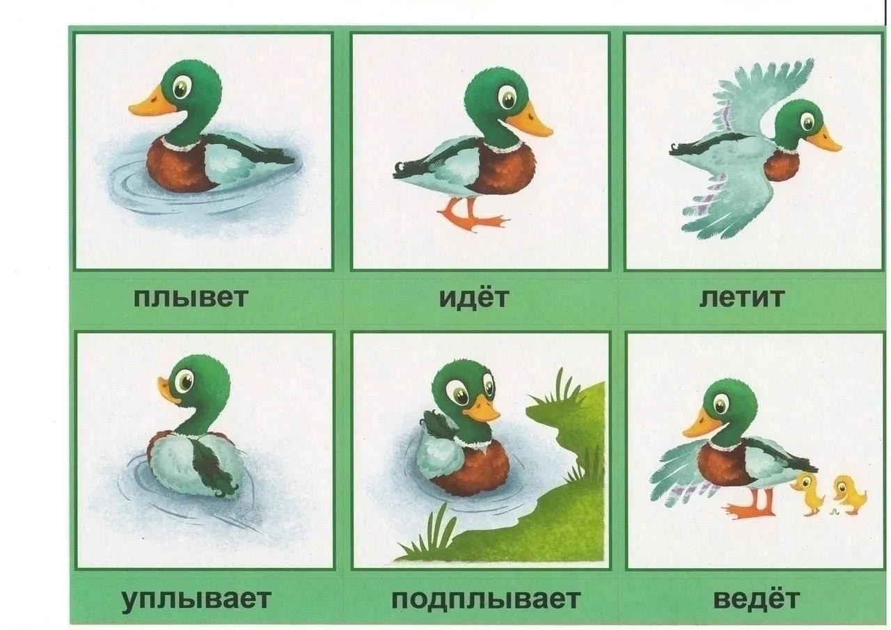 🏃‍♂ Развитие речи. Глаголы 🏃‍♂   --- Просим показать лайком ❤️🔥👍, что такой материал действительно д