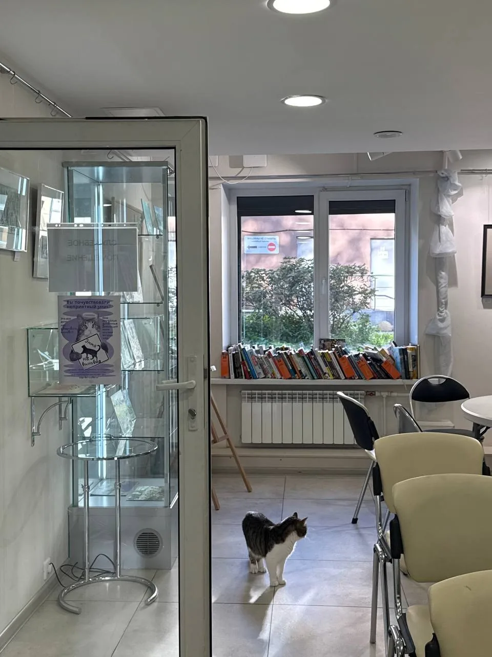 В рубрике #ачтонарайоне нашли библиотеку, куда хочется прийти с ноутбуком и зависнуть н...