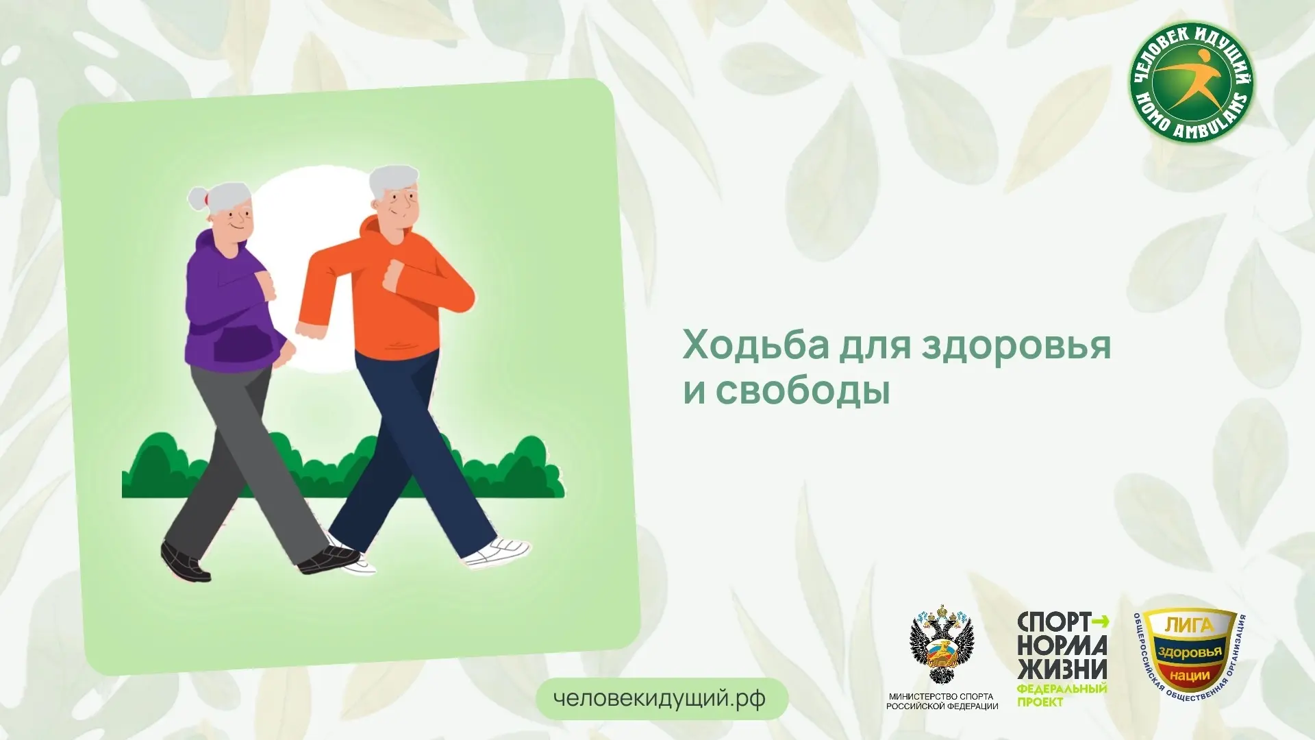 Сколько шагов в день нужно пожилому человеку? Учёные измерили активность нескольких тысяч людей стар