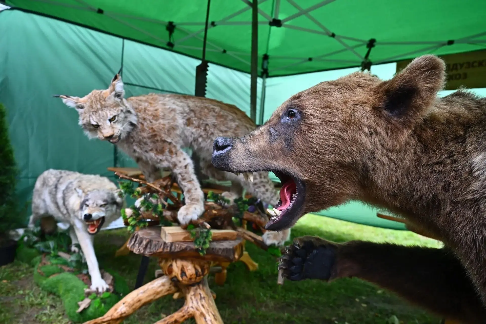 Изображение 6 к публикации «Рустам Минниханов»