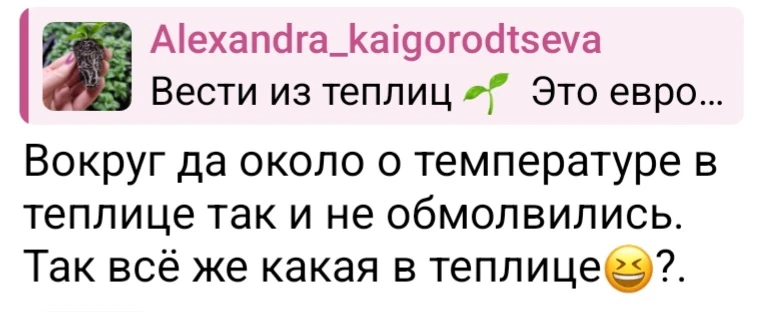 Так какая же температура в теплице?  Не говорю точной цифры, значит что-то скрываю? 🤔  Обсудим 🤝  Се