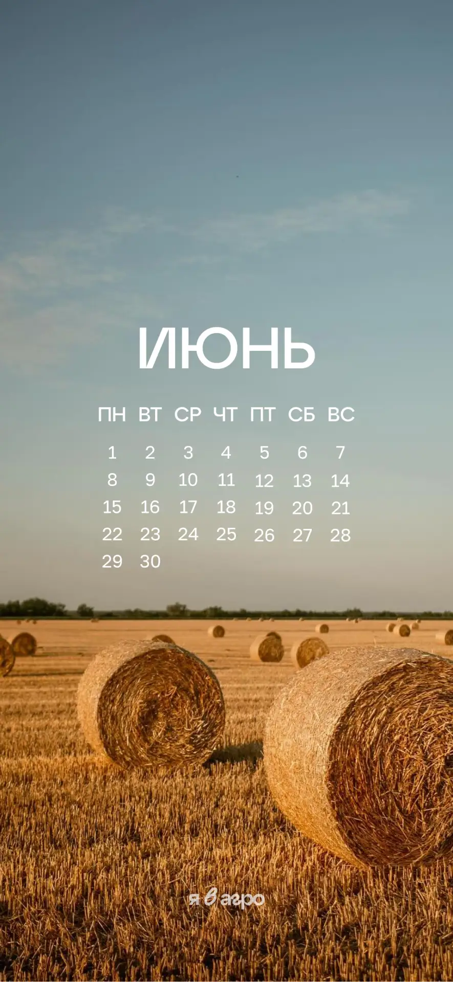 Вот оно какое наше Лето:
Лето жарким солнышком согрето ☀️ 

Наступила приятная пора: солнце греет, д