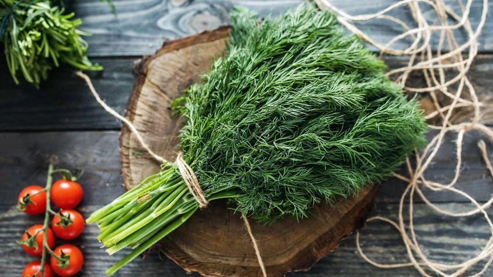 Почему стоит чаще добавлять укроп в рацион? 🌿 

Укроп богат витаминами C, A, B2, B6, PP, а также со