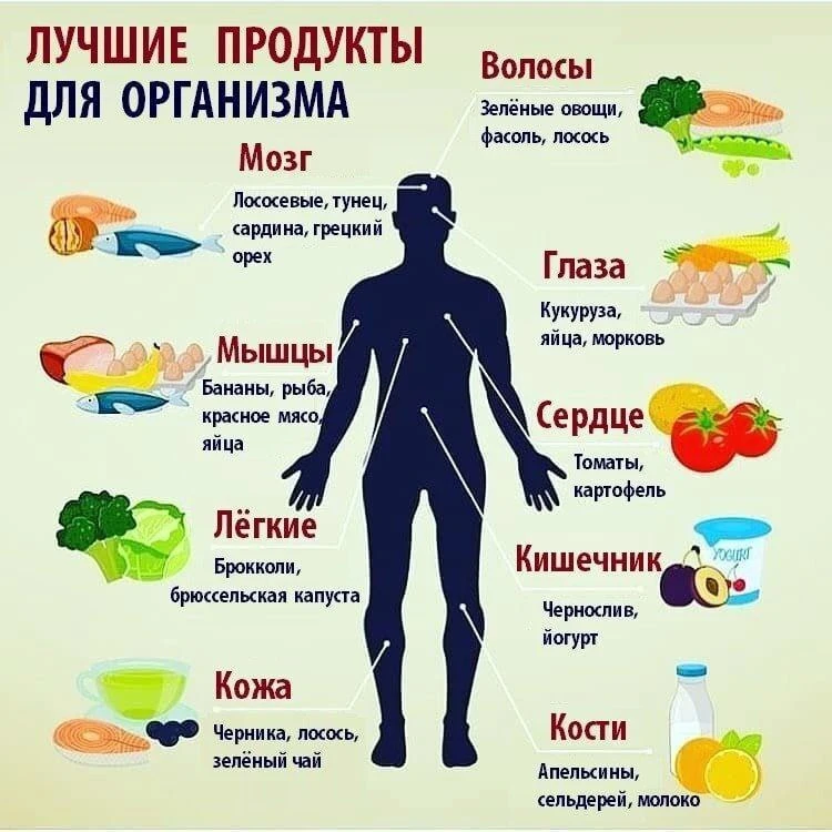 Лучшие продукты для организма.