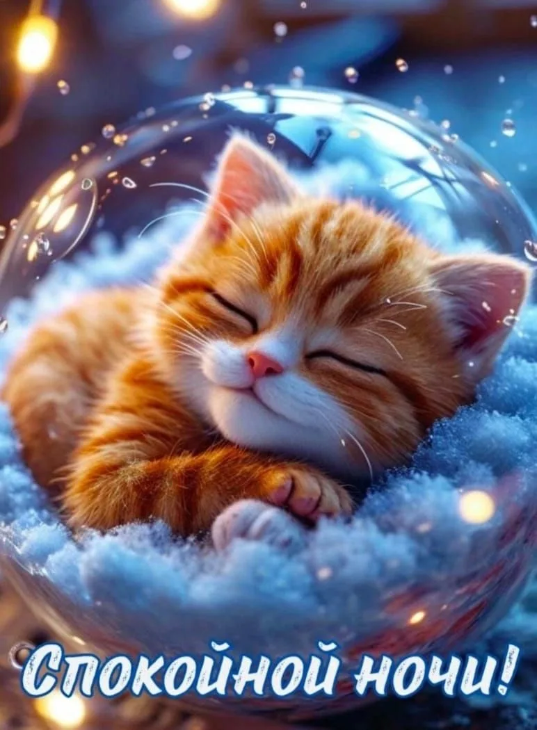 #СпокойнойНочи

Красивые открытки❤️