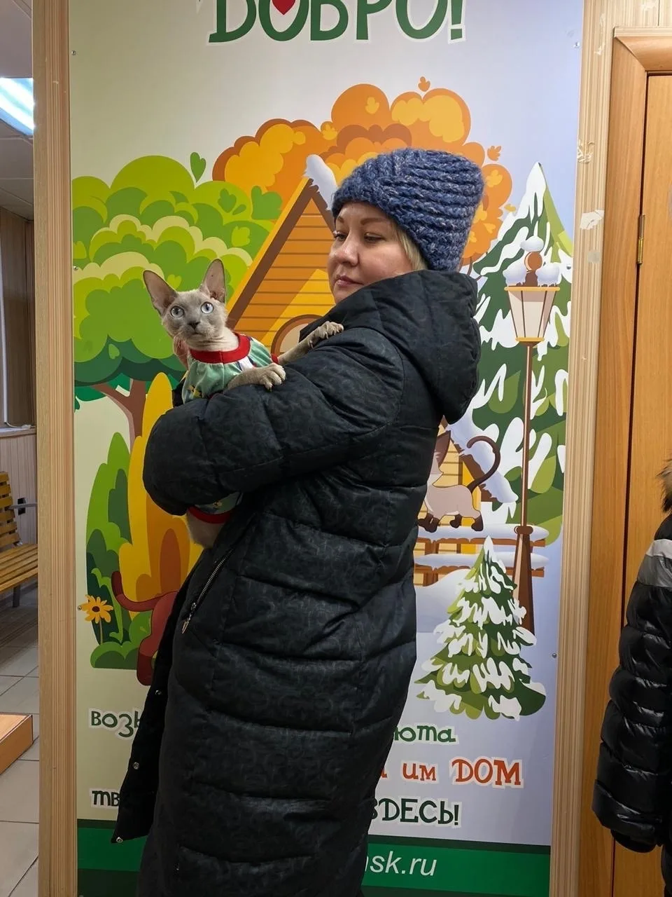 🥰🌪 «Как мы раньше жили без неё?» Сфинкс-сокровище Аиша шлёт весточку из дома! 💌  Давненько, конечно,