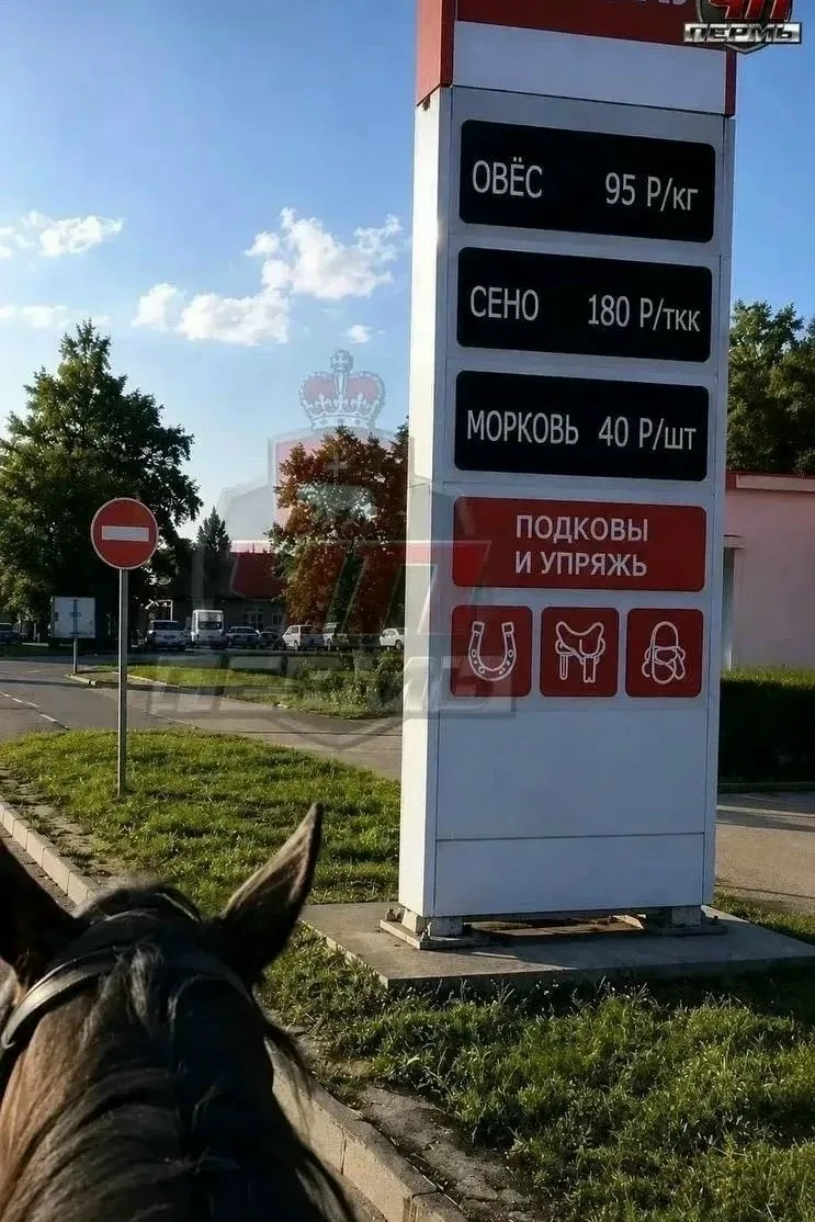 Актуалочка 😅
