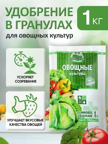 Хотите получить богатый урожай огурцов? 🌱