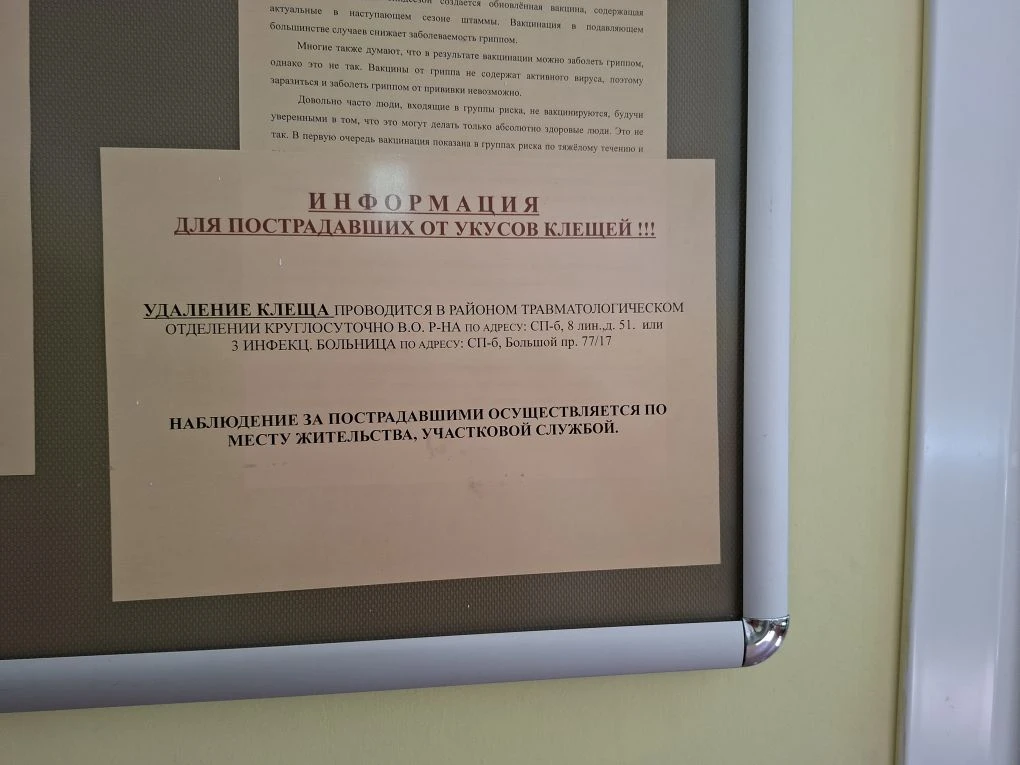 Фото