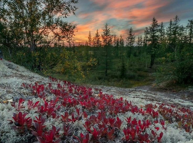 🗻Мимо красоты ямальских девушек сложно пройти и не обернуться. Лучшие косметологи у них — это ветер