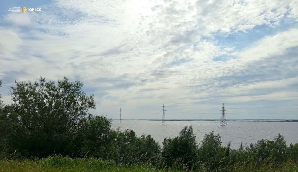 В объективе ЮРЭСК 🍃