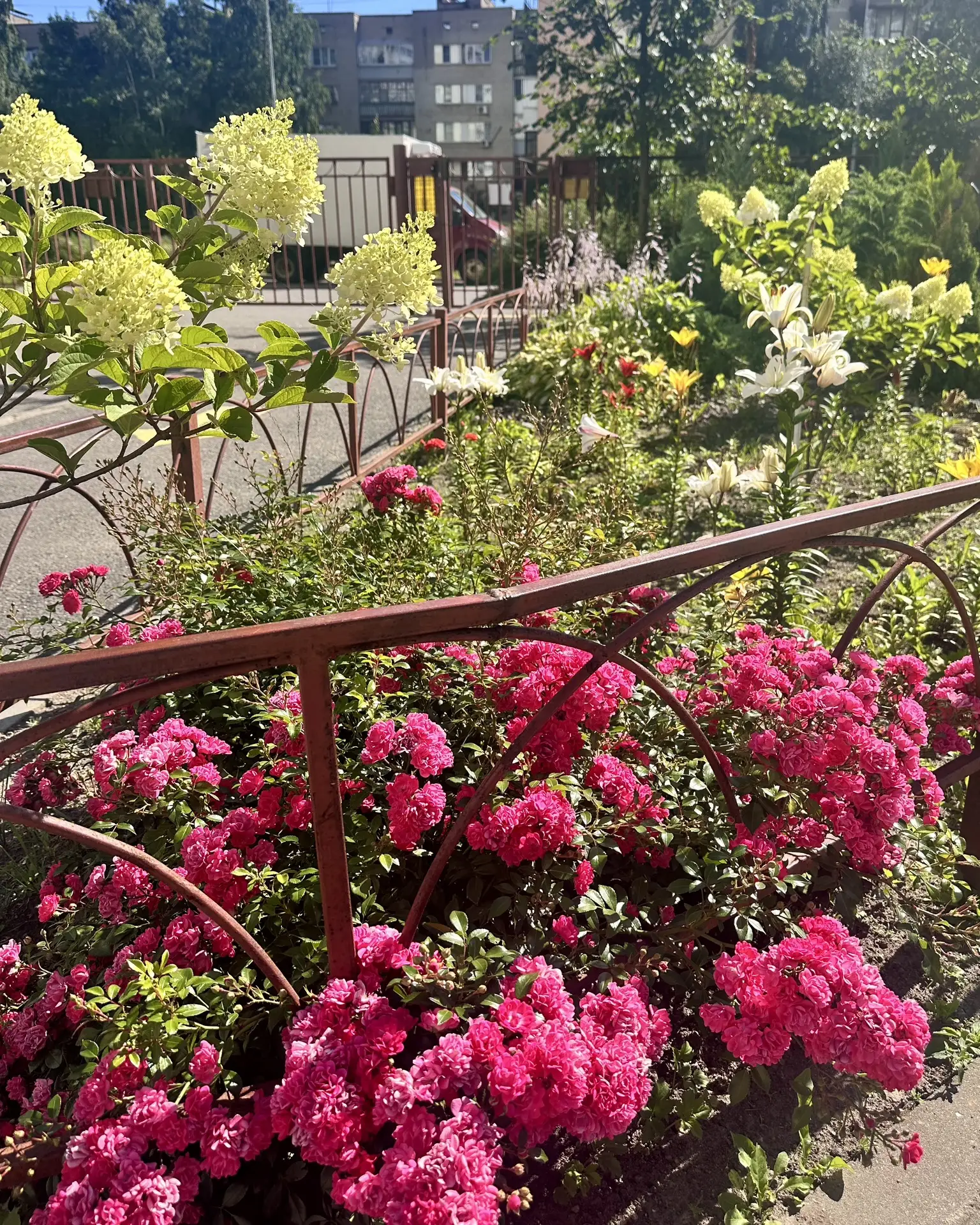 🌺 Дорогие жители, продолжается прием работ на конкурс по благоустройству придомовой те...