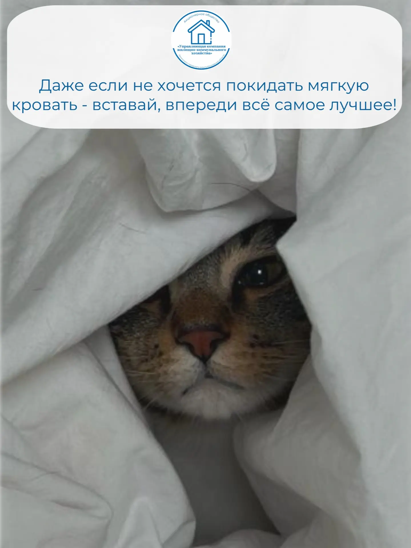 ▶️ Telegram | Вконтакте | MAX