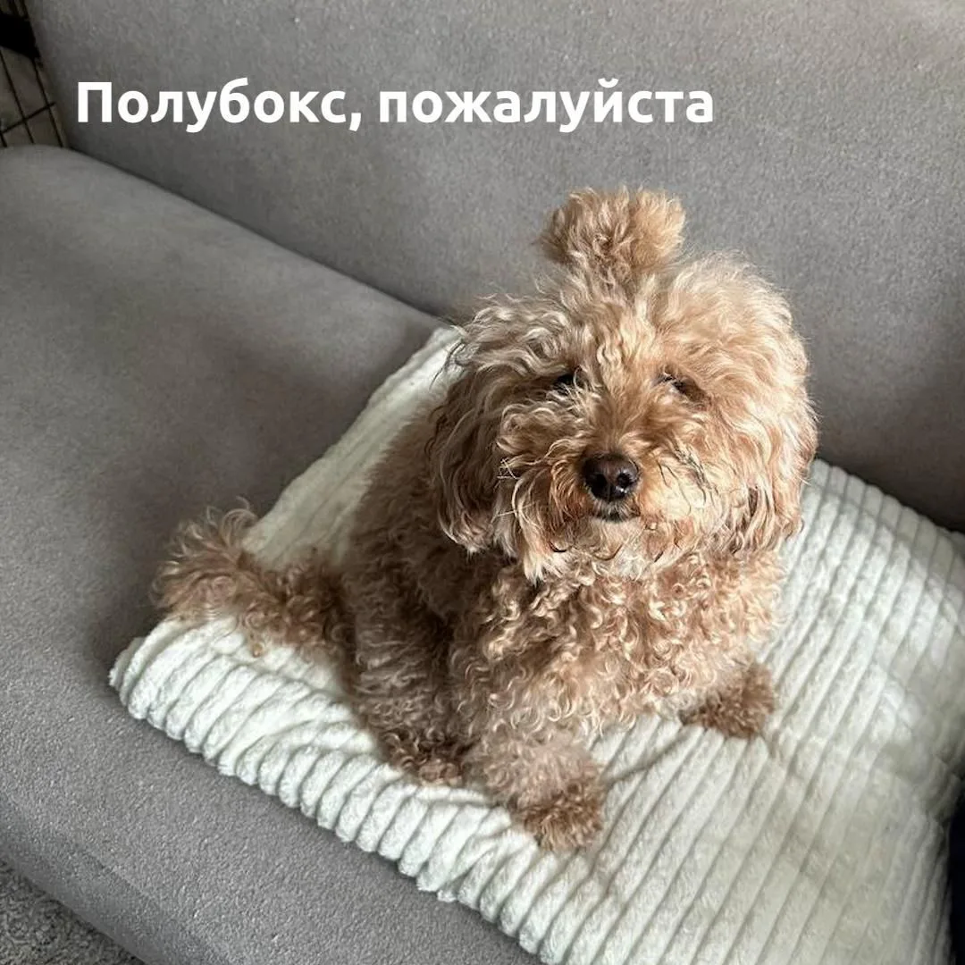 Спортзалы и салоны красоты закрываются в Екатеринбурге из-за отключения воды.