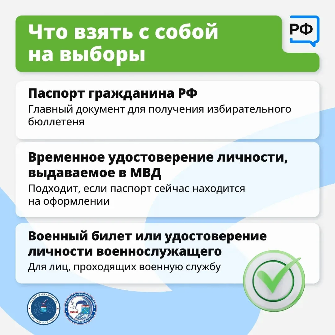 Что нужно взять с собой на участок для голосования?
