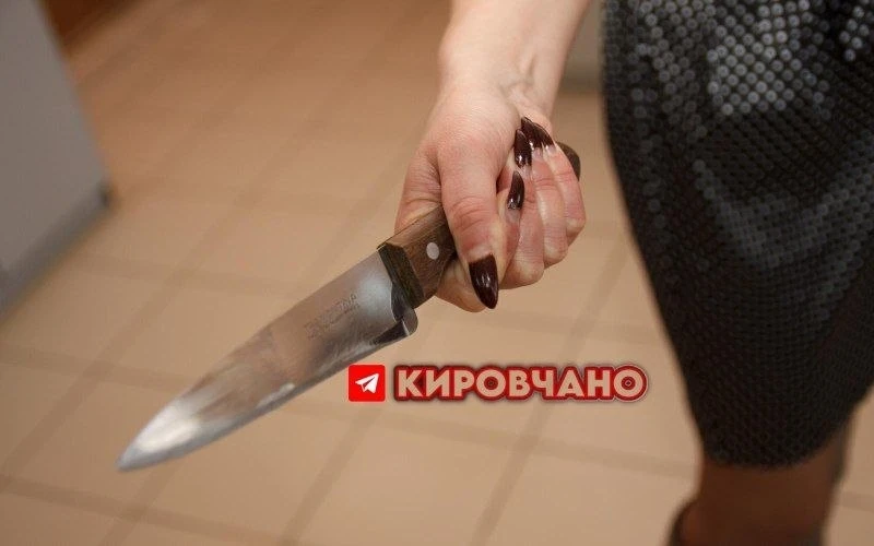 В Кирово‑Чепецком районе Кировской области задержали 53‑летнюю женщину по подозрению в убийстве

Жер