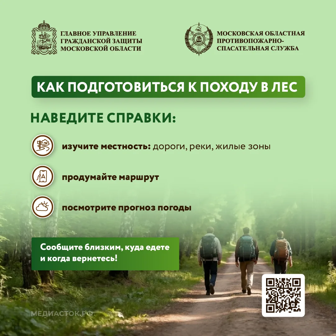 🌲Как подготовиться к походу в лес, что взять с собой, и как найти дорогу, если сбились с пути – чита