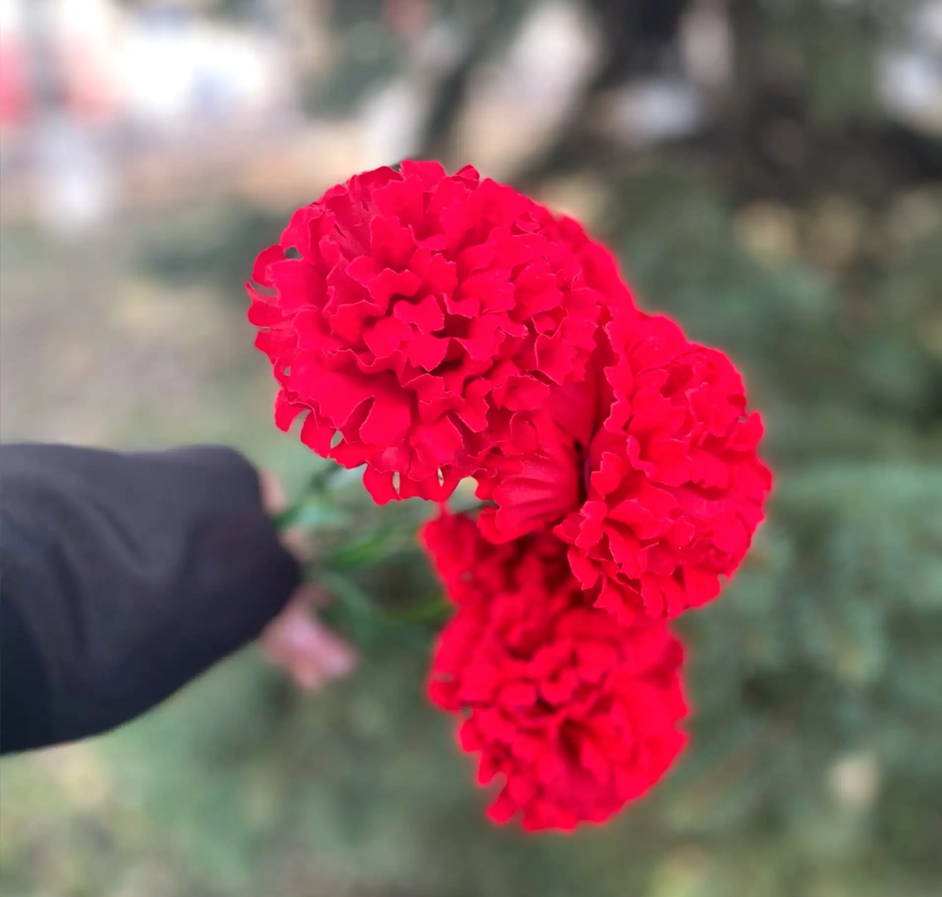 🇷🇺 Помним. Гордимся. Благодарим.