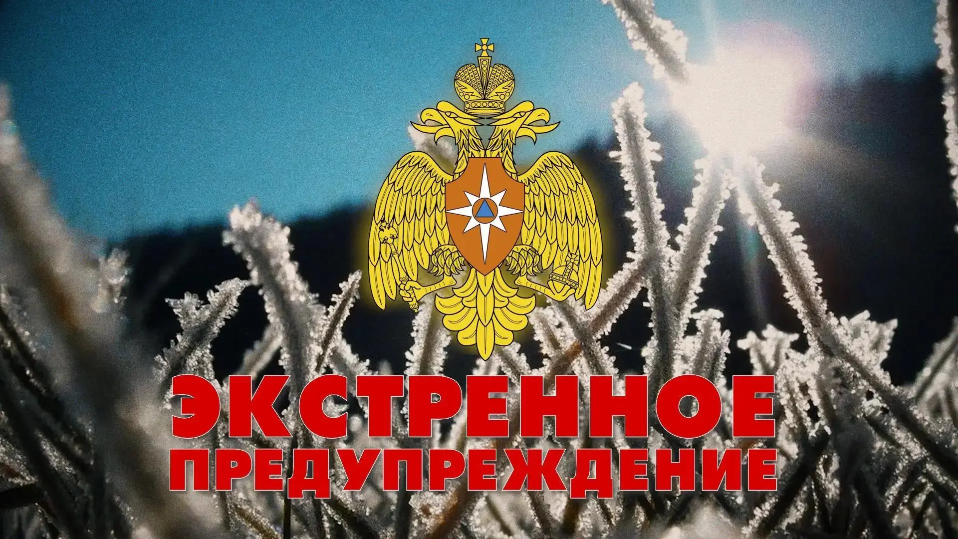 ЭКСТРЕННОЕ ПРЕДУПРЕЖДЕНИЕ