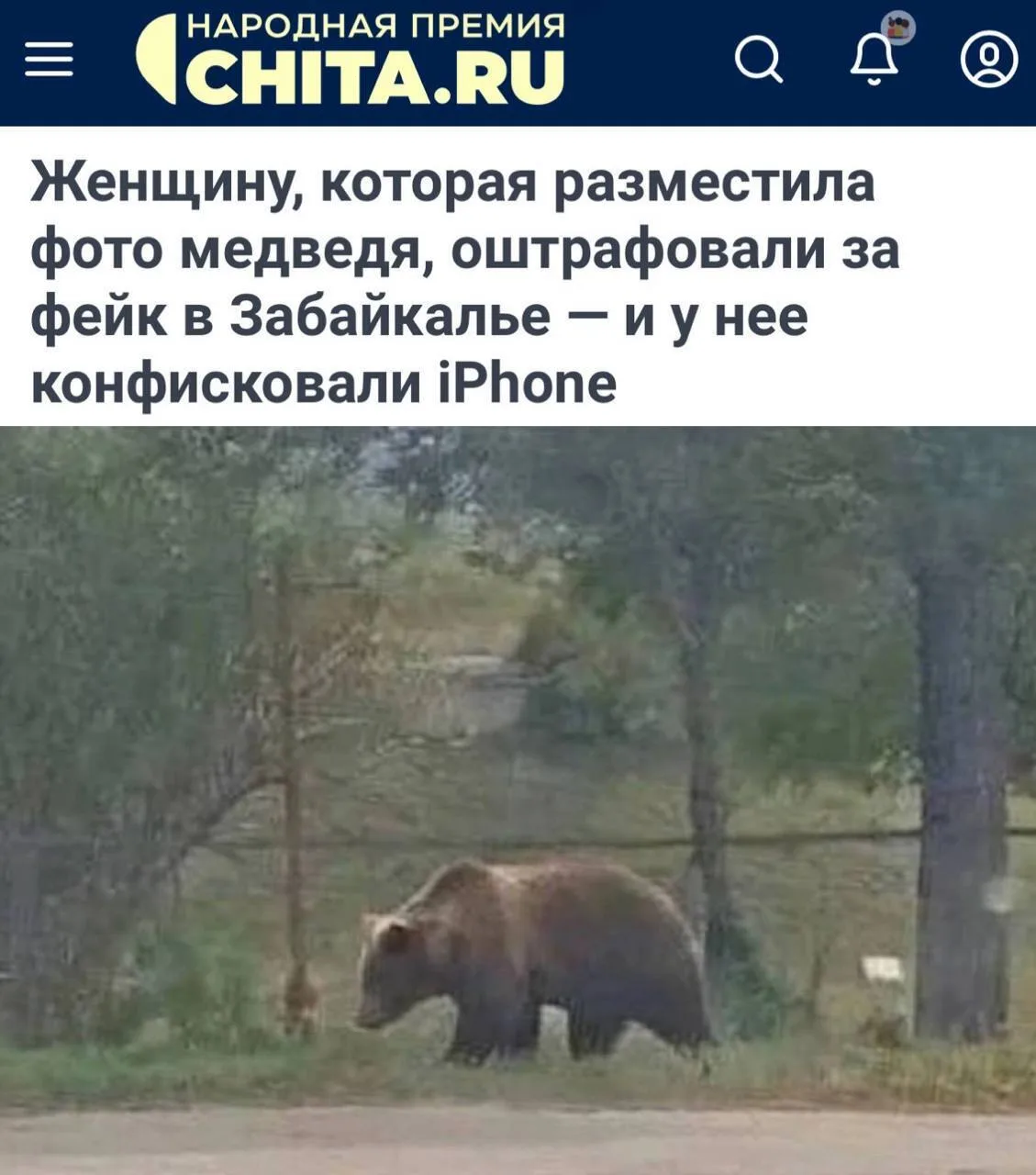 ❗️«Женщину, которая разместила фото медведя, оштрафовали за фейк в Забайкалье - и у нее...
