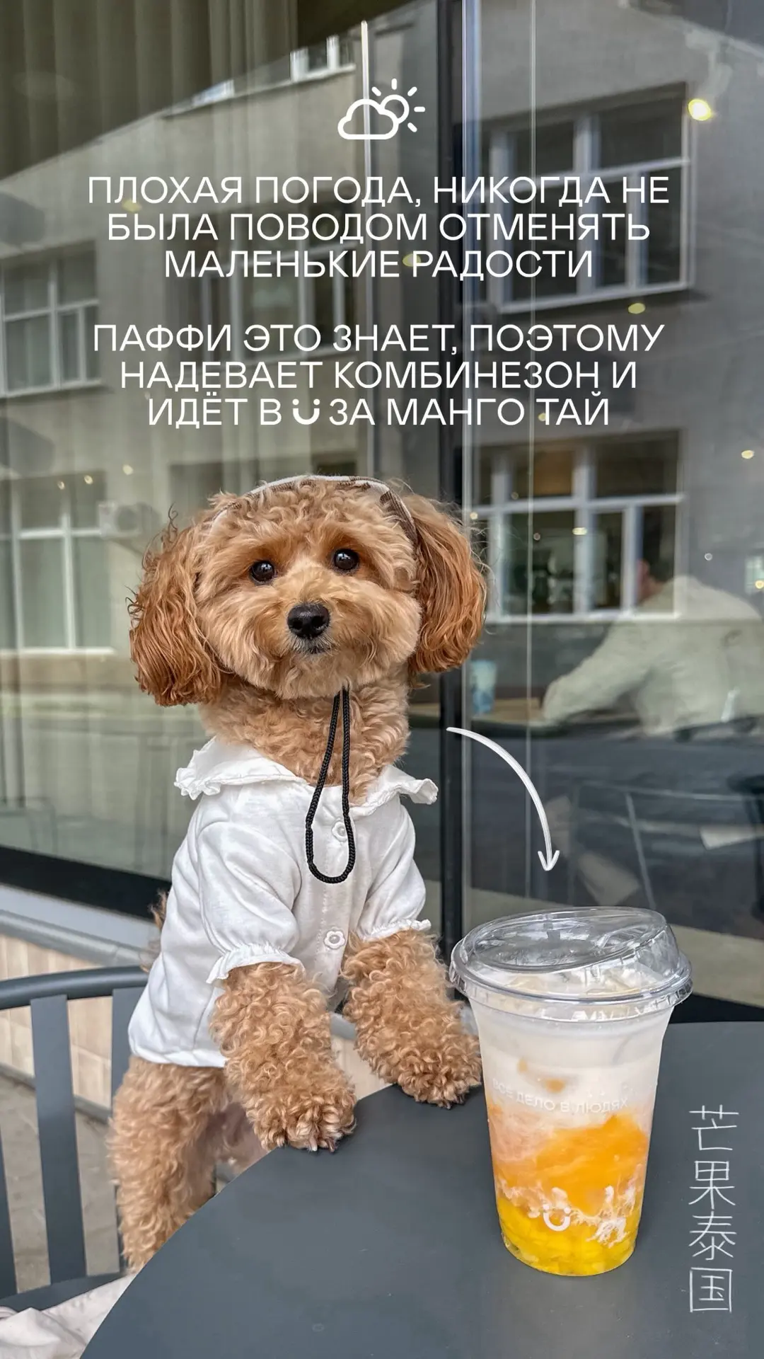 В Екатеринбурге, Уфе, Тюмени дождливая погода, но это не повод отменять маленькие радости! Надеваем 