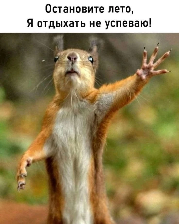 Эх, сегодня последний день второго летнего месяца) Но зато пятница! Поэтому утро точно доброе. Бенев