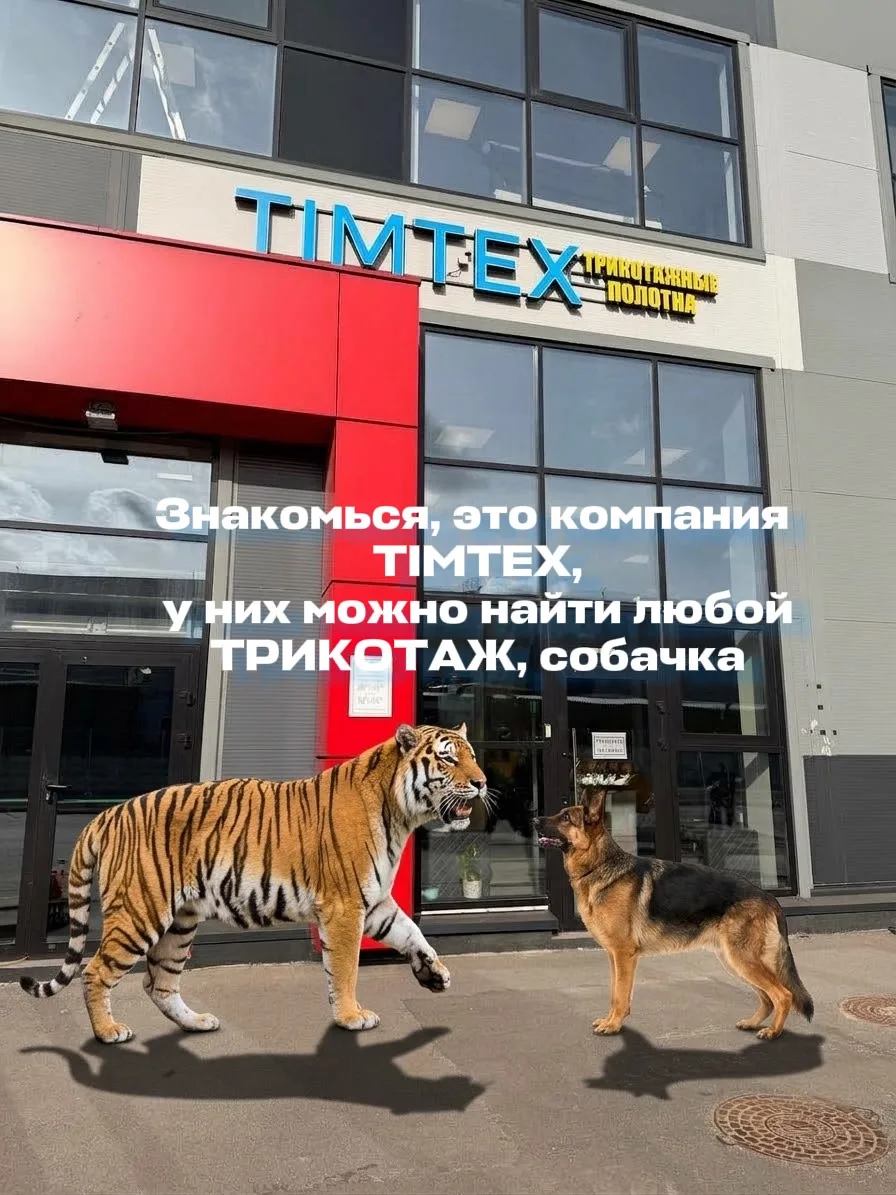 Теперь ты знаешь, где купить трикотажные полотна, собачка!