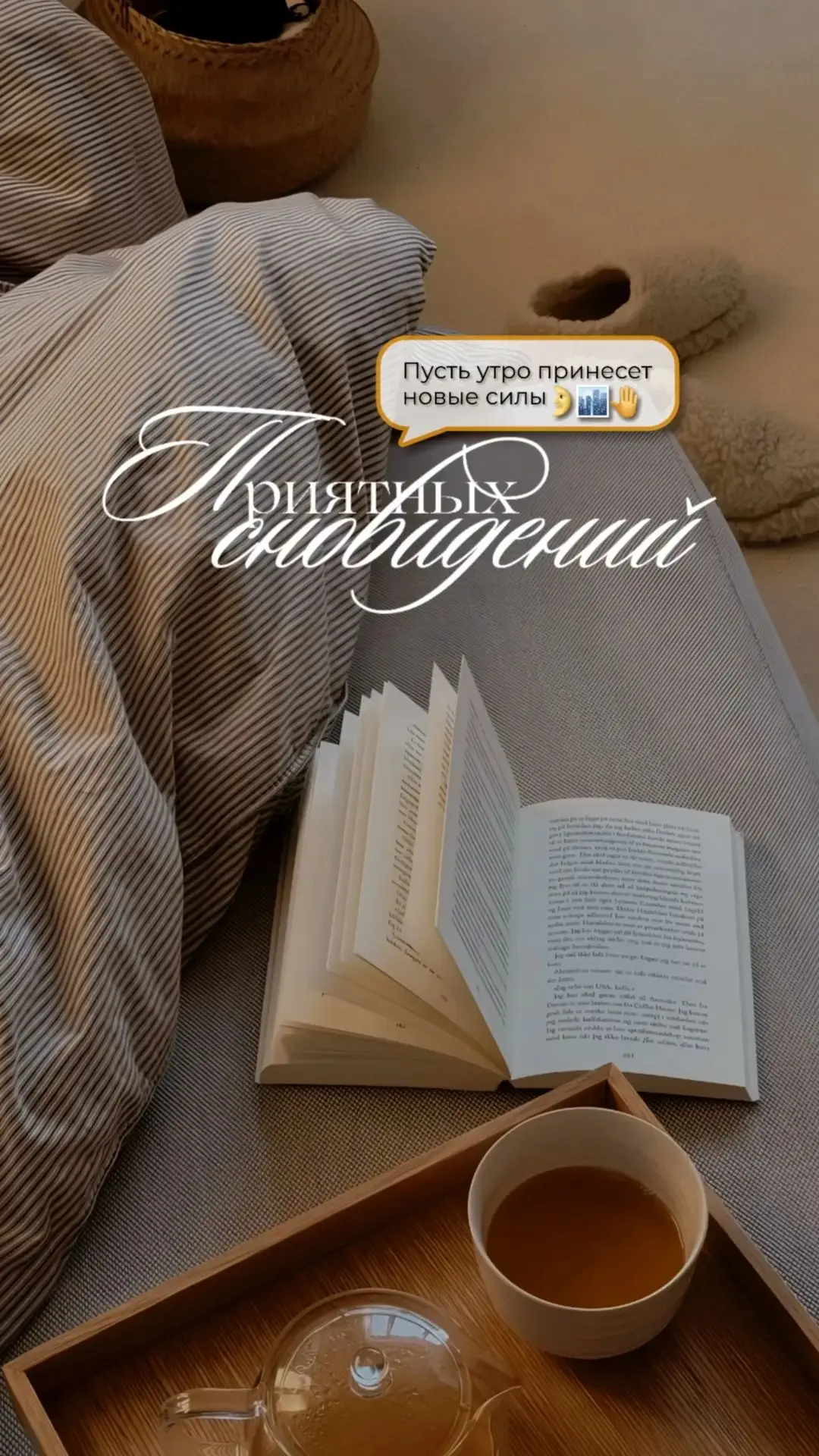 Доброй ночи 🌙